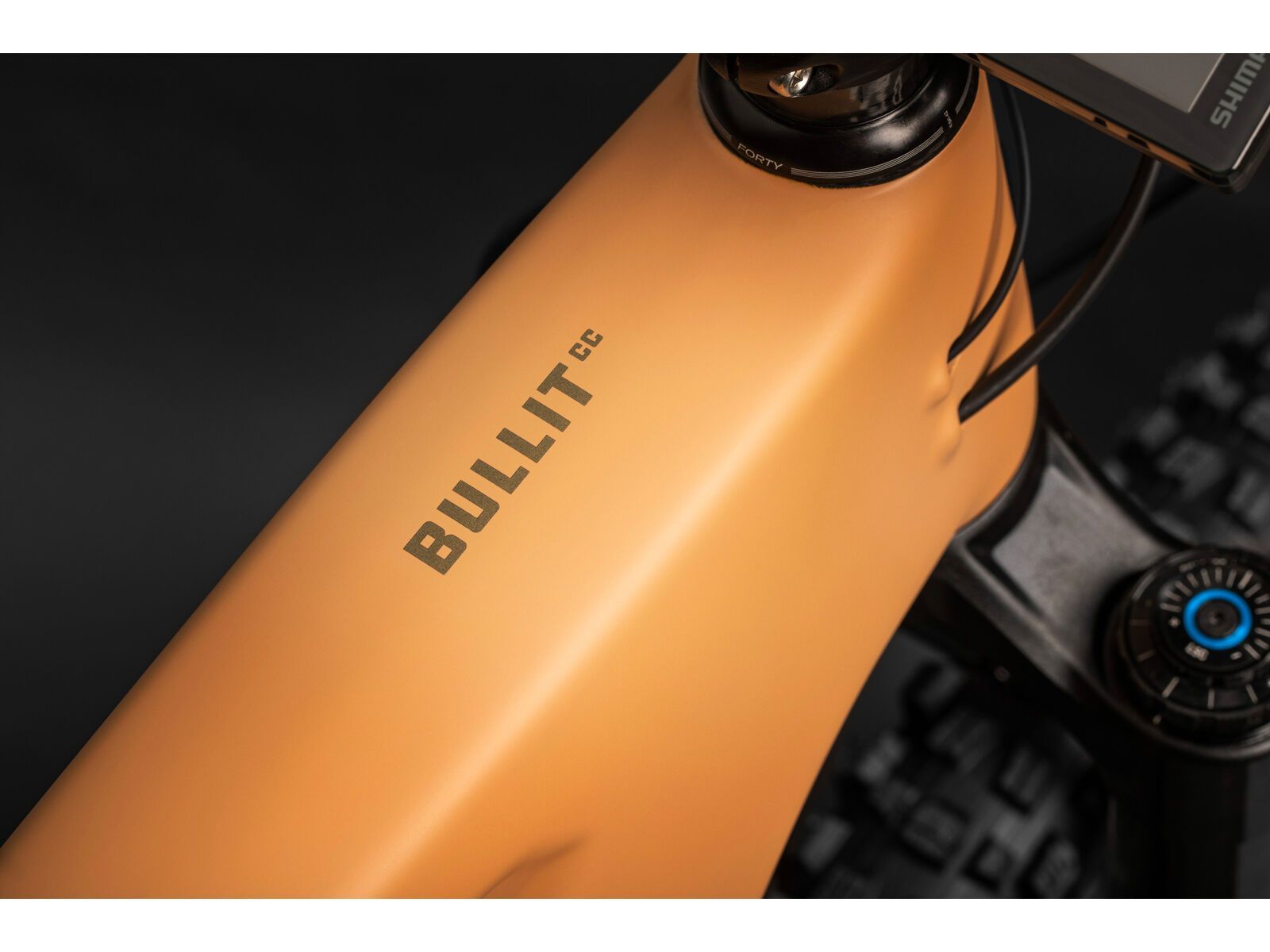 Santa Cruz Bullit CC / X01 AXS / Coil / RSV / MX, matte cider - Bild 3