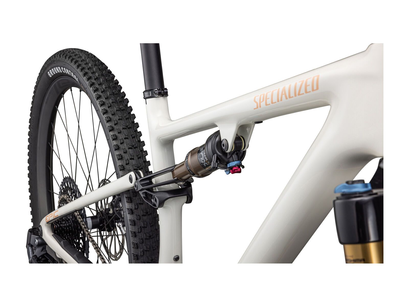 Specialized Epic Evo Pro, birch/bronze/pearl - Bild 5