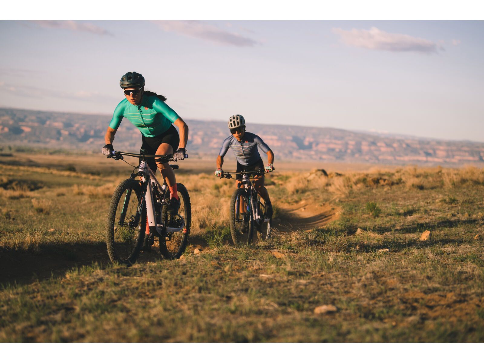 Juliana Wilder C / R / TR / 29, purple sweetness / lavender - Bild 23