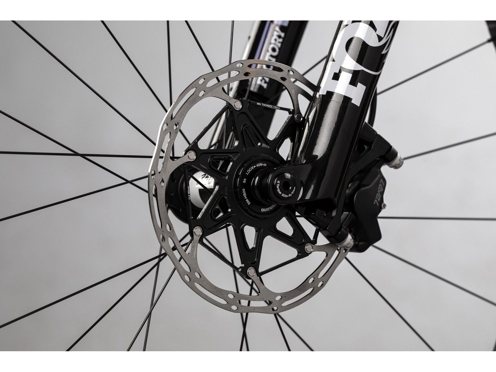 Juliana Wilder C / R / TR / 29, purple sweetness / lavender - Bild 7