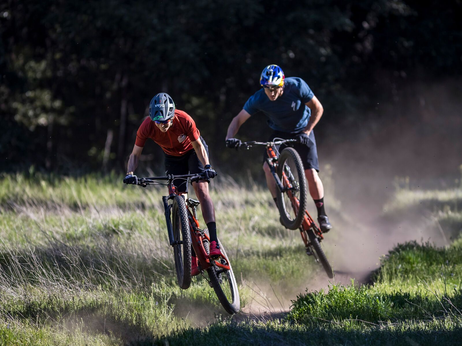 Specialized Epic Evo, forest green/oasis - Bild 8