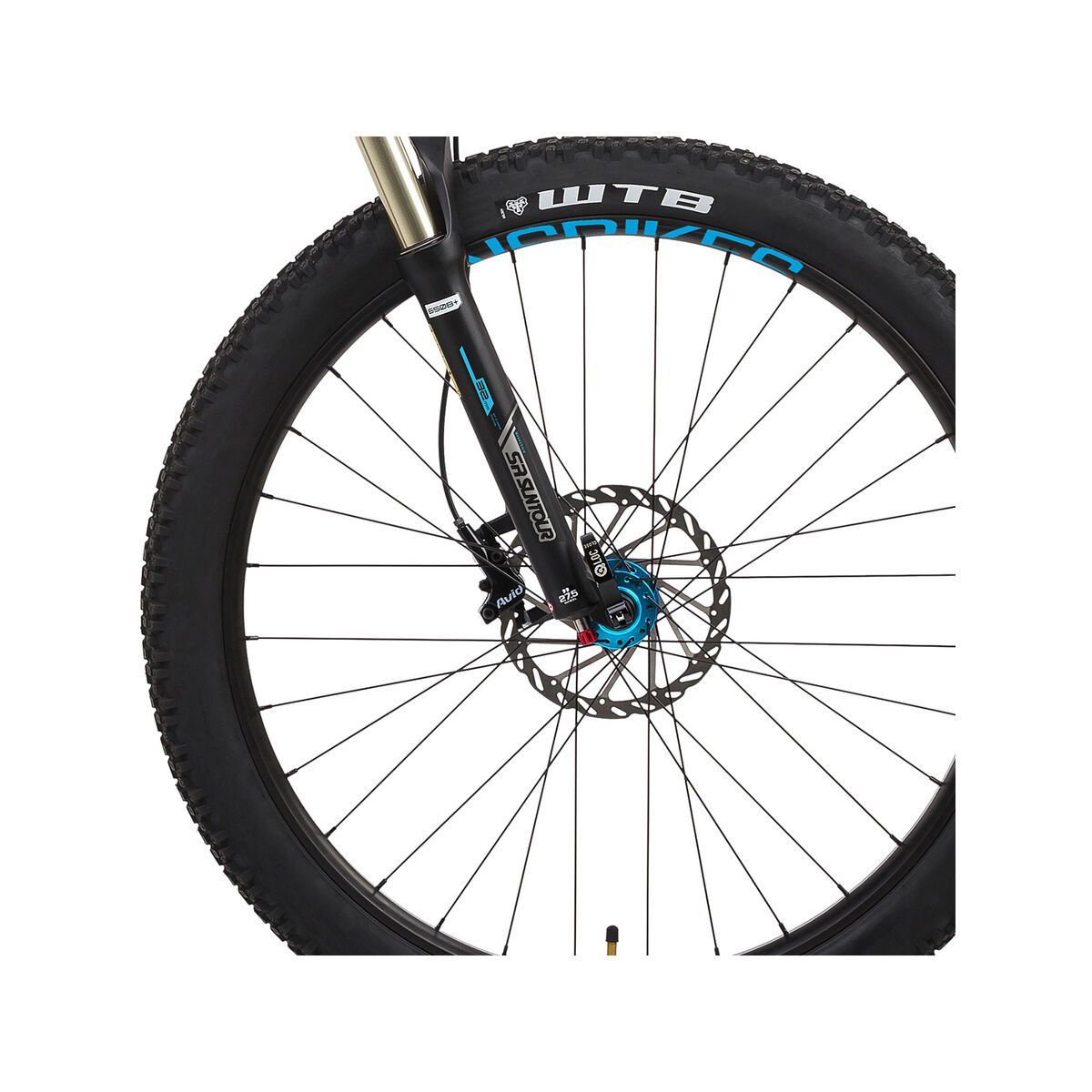 NS Bikes Eccentric Djambo, black/blue - Bild 2