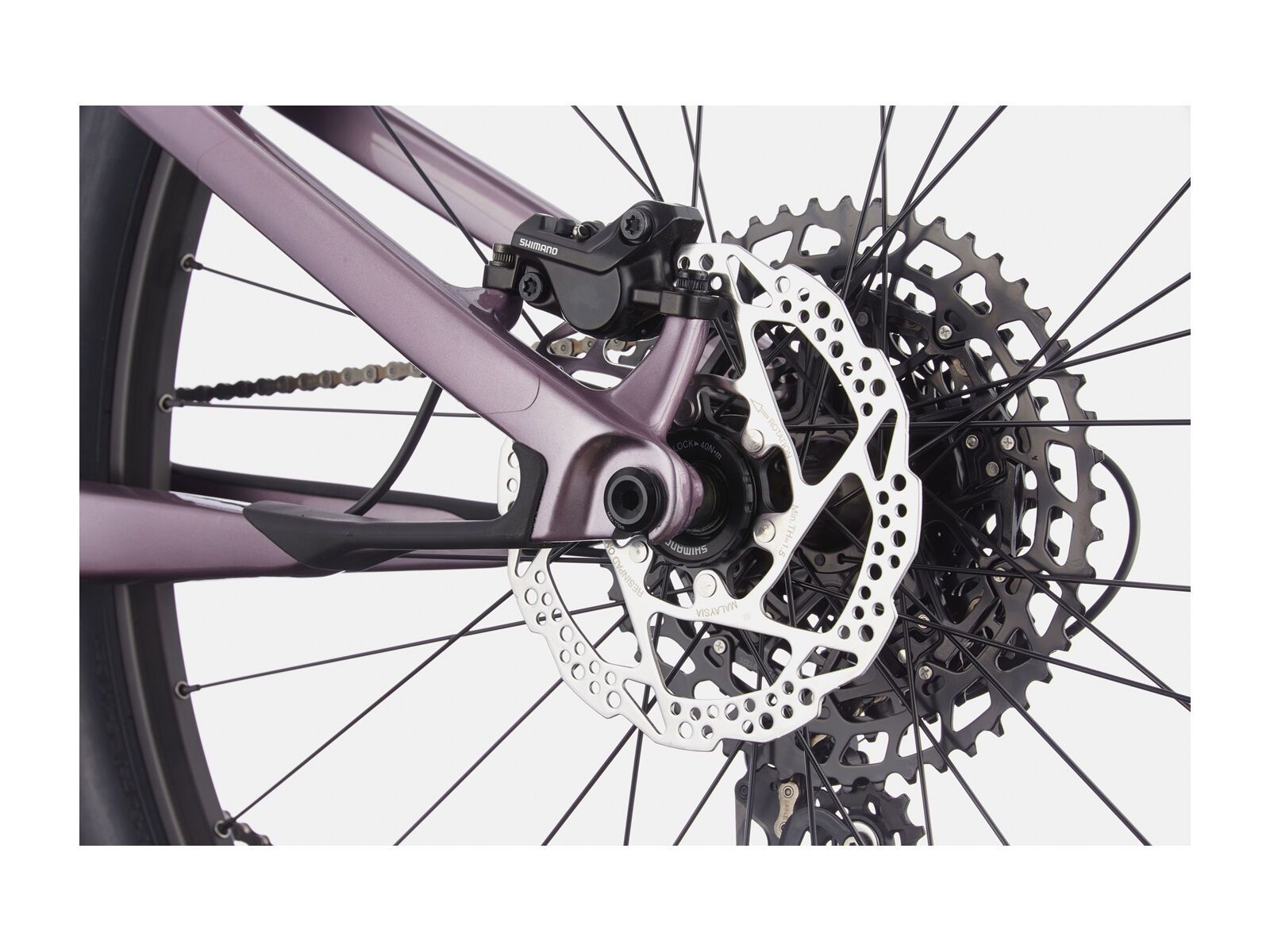Cannondale Scalpel Carbon SE Women's, lavender - Bild 6