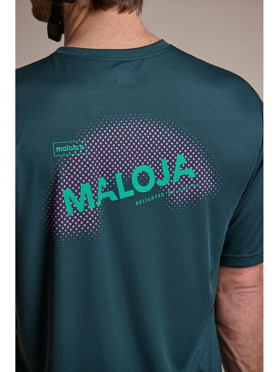 Maloja StaubachM., mountain pine - Bild 3