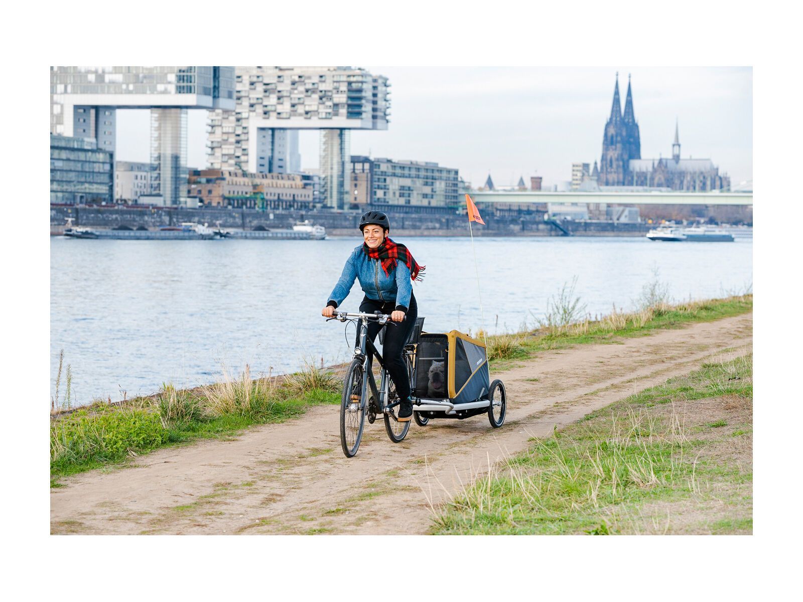 Croozer Dog Peppa, pineapple yellow - Bild 7