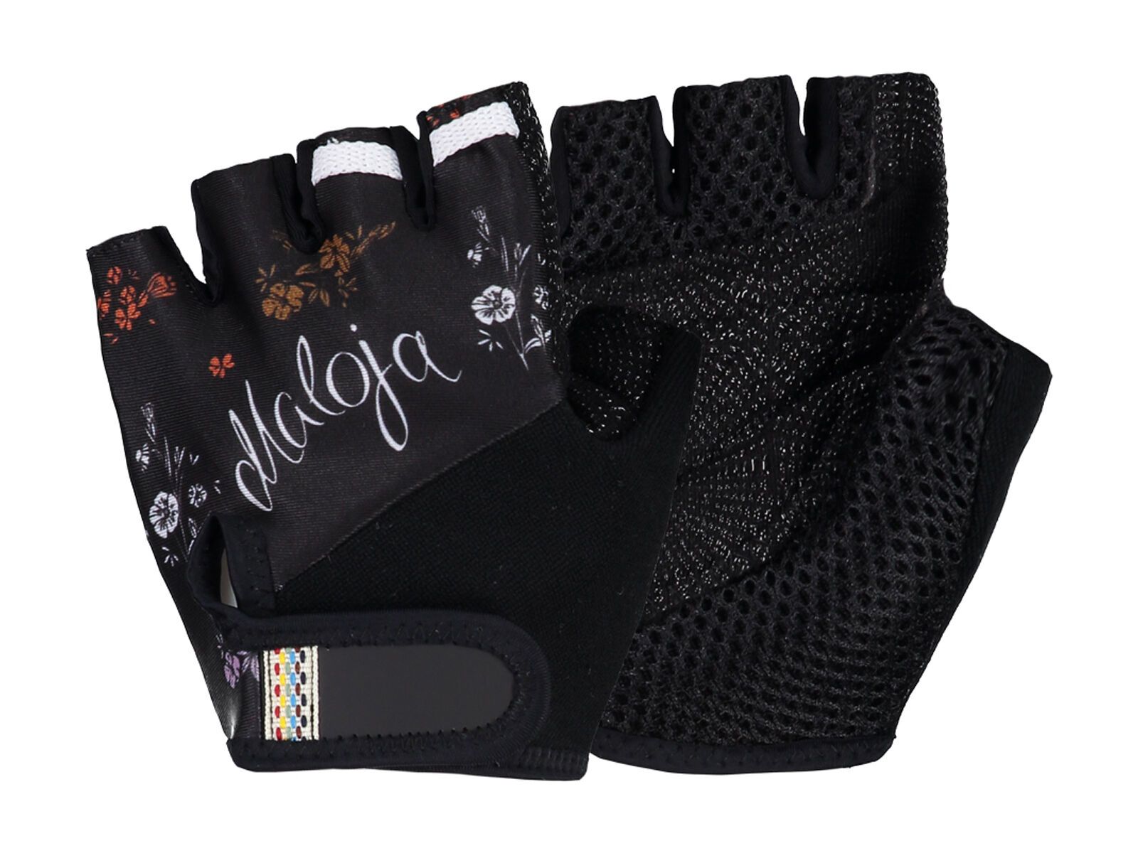 Maloja AndriettaM., moonless mountain meadow - Bild 1