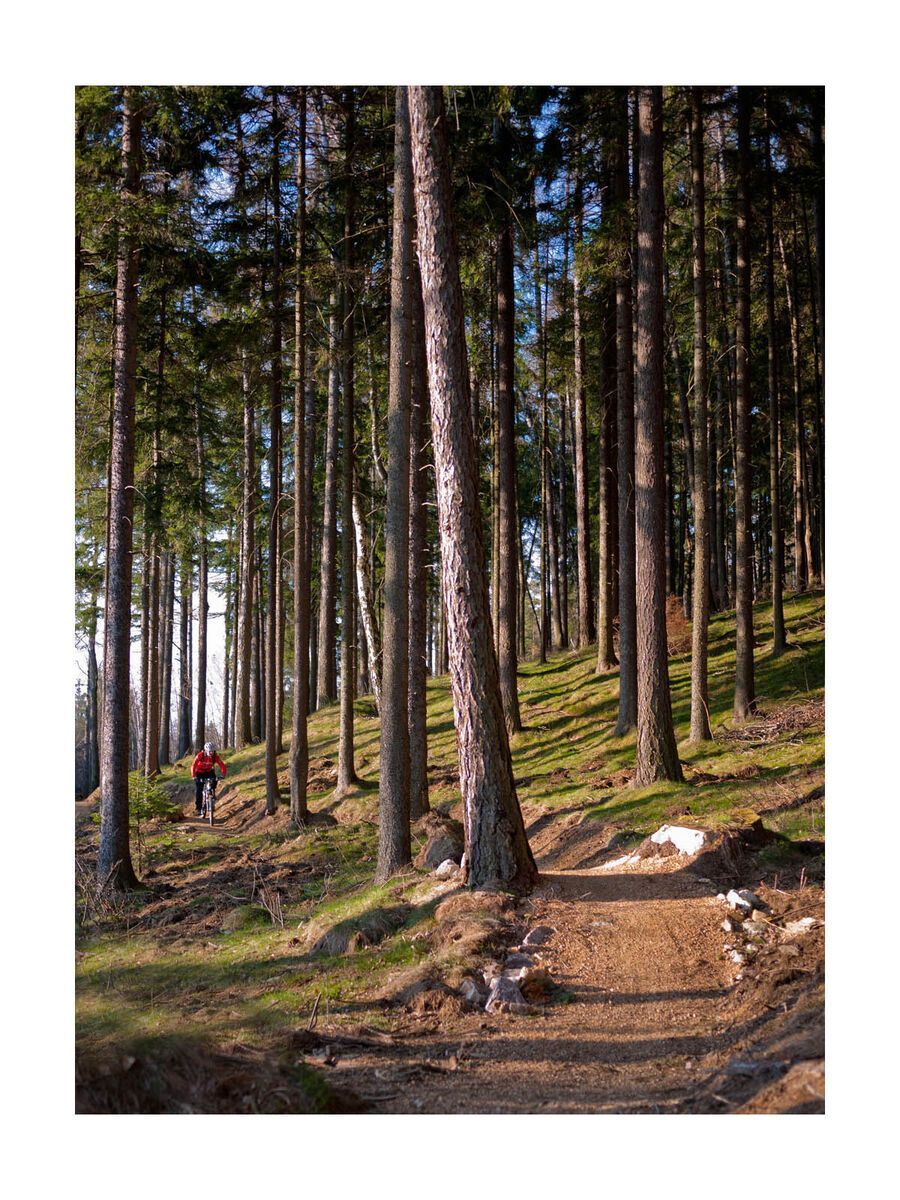 BIKER-BOARDER Tagestour Singltrek pod Smrkem - Bild 5