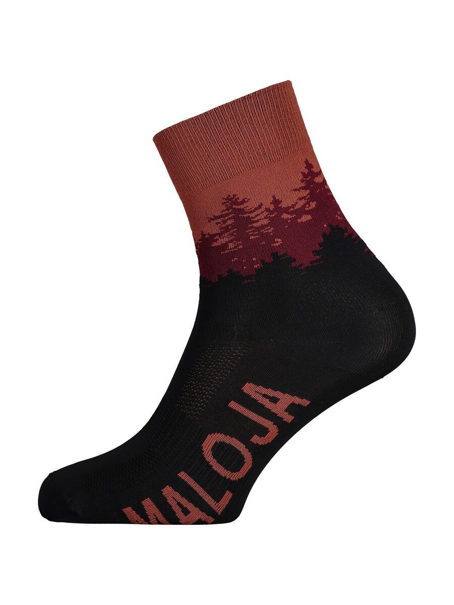 Maloja BibernelleM., firebug - Bild 1