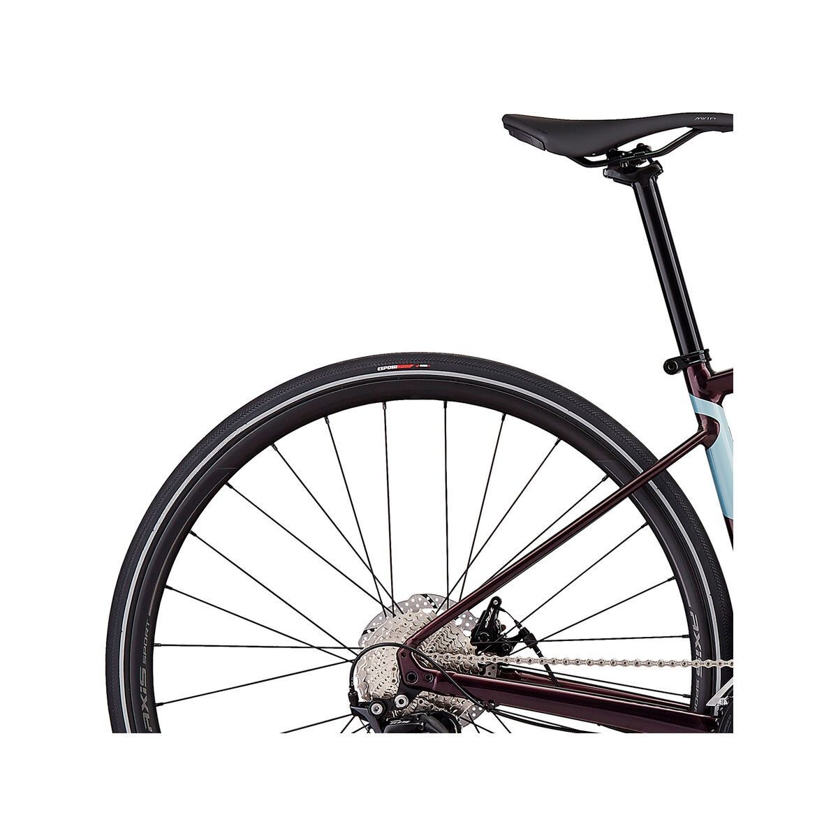 Specialized Women's Diverge E5 Comp, gloss cast berry/storm/ice blue - Bild 7