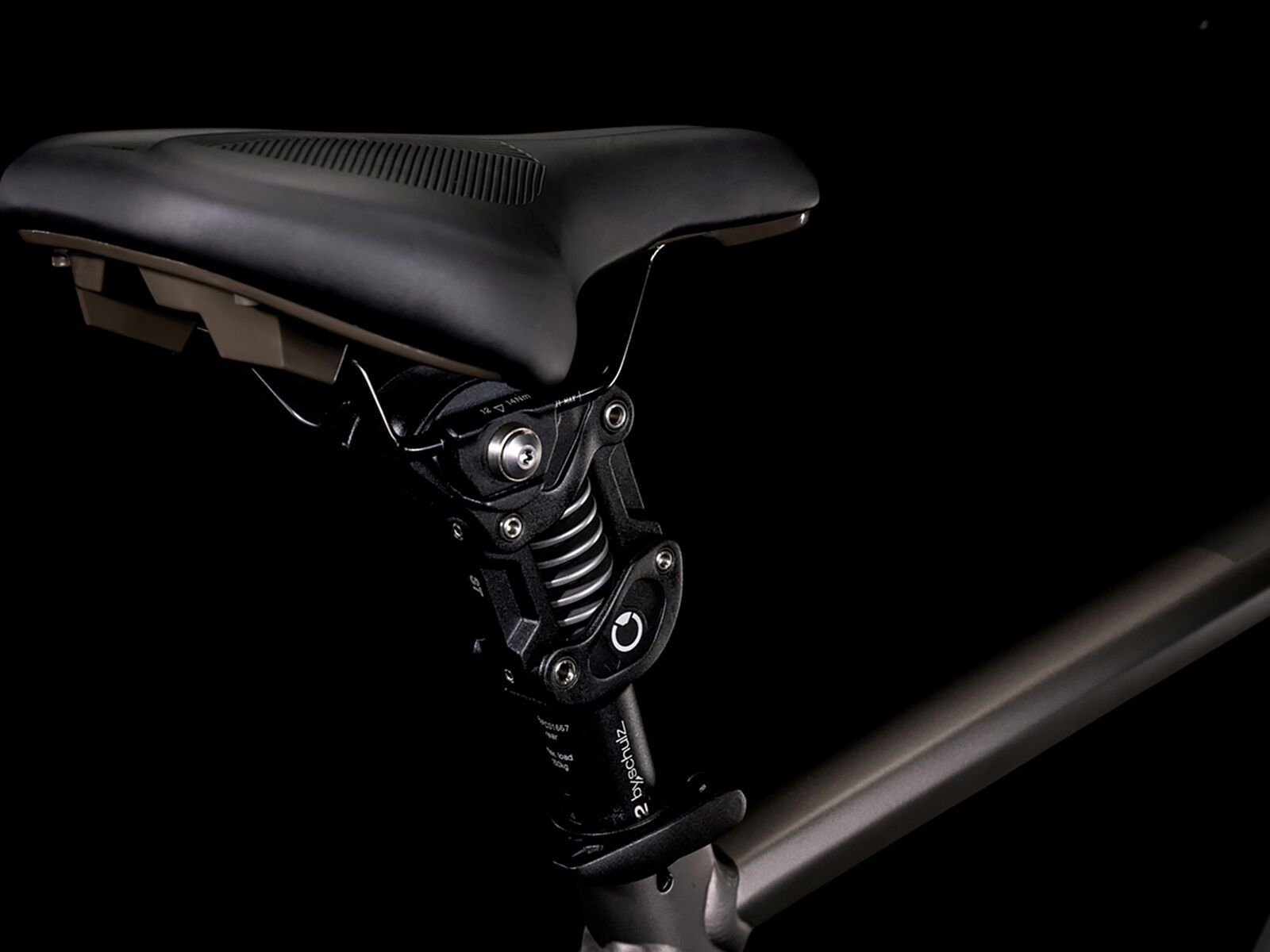 Cube Nuride Hybrid SLT Allroad 750, teak´n´grey - Bild 3