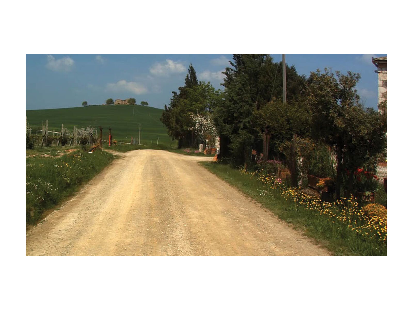 Tacx Real Life Video - Monte Paschi Eroica (Italien) - Bild 4