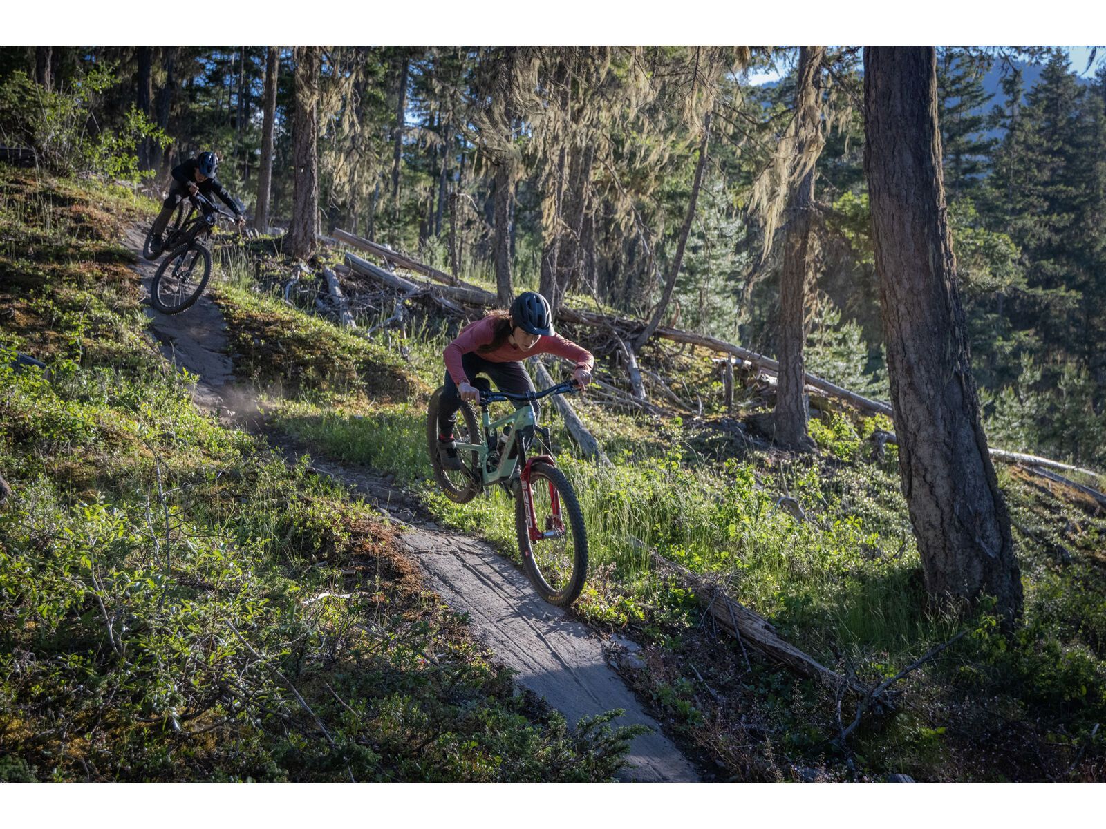 Santa Cruz Nomad C / 90 / MX, matte black - Bild 18