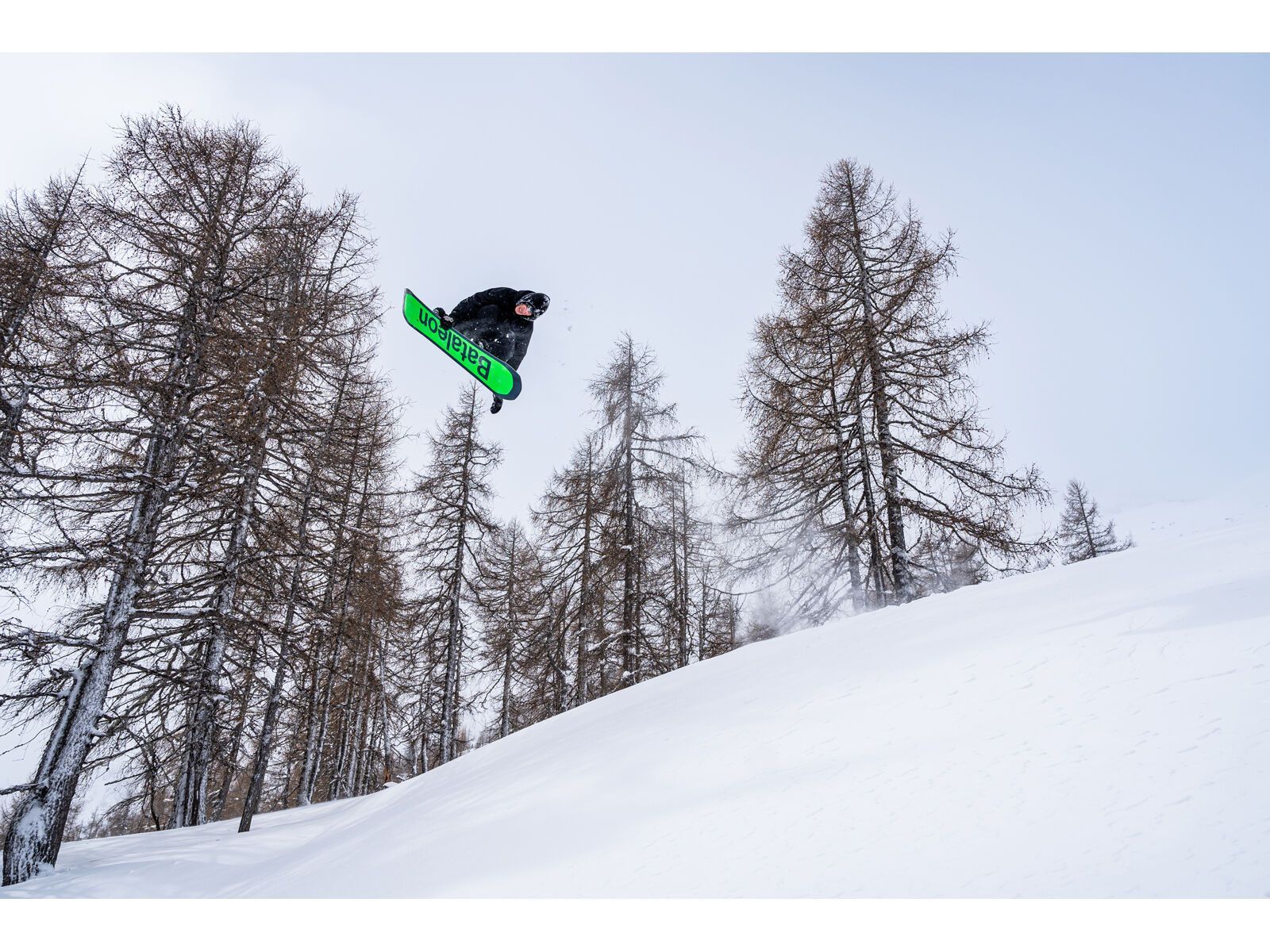 Bataleon Goliath Wide - Bild 13