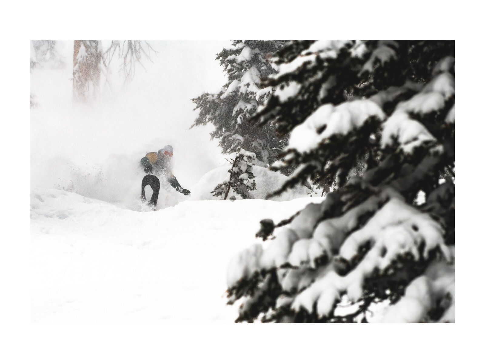 Lib Tech Orca - Bild 5