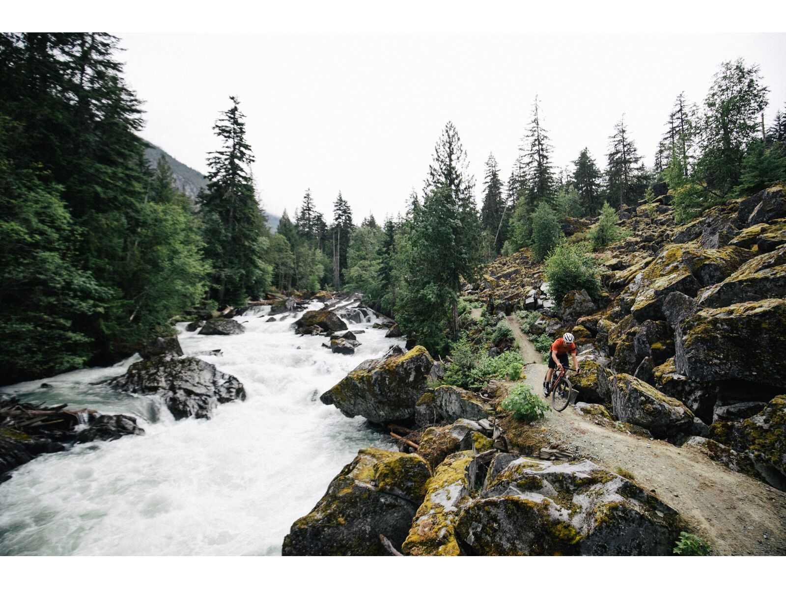 Santa Cruz Stigmata CC / Apex, british racing green - Bild 15