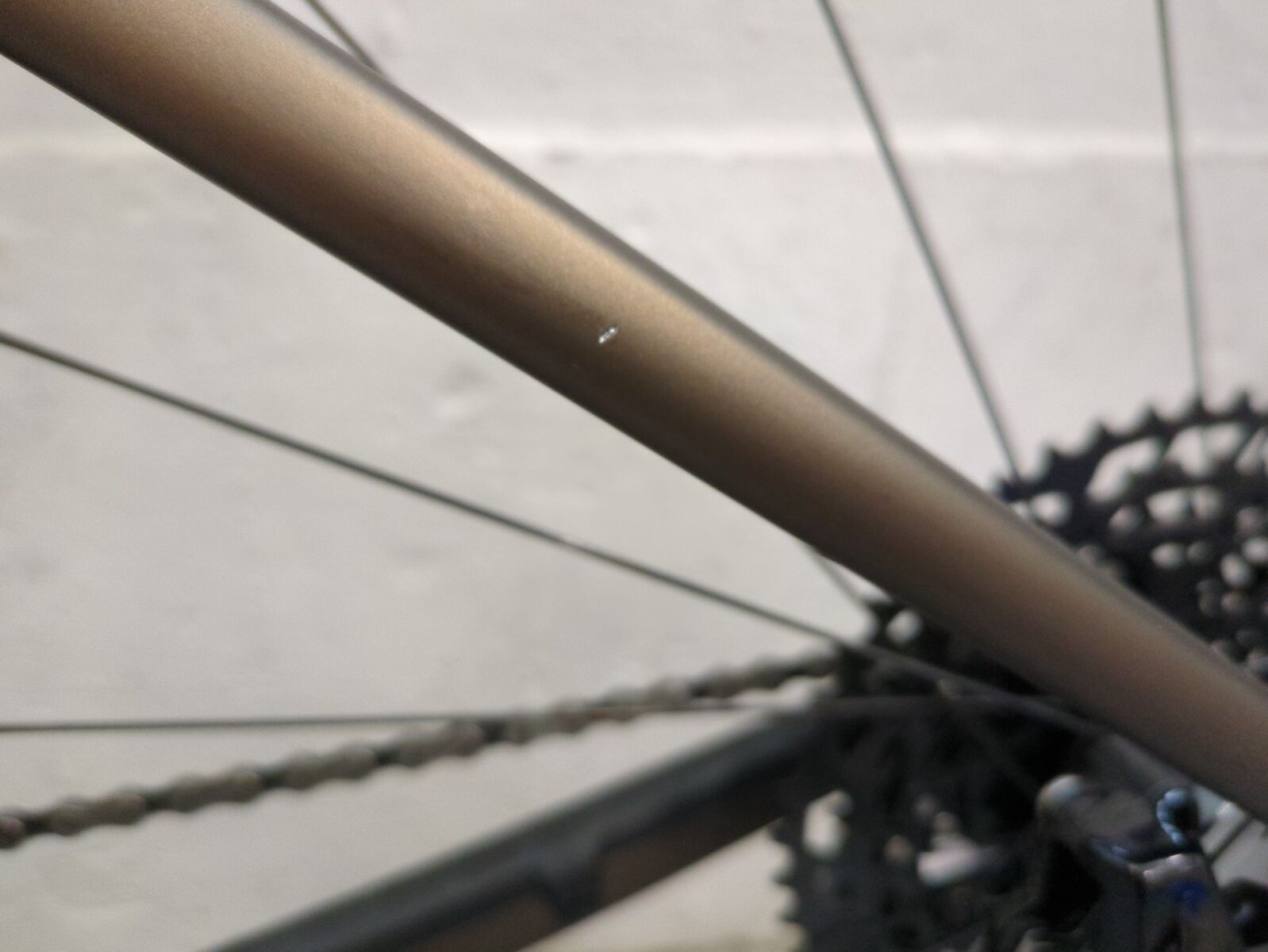 ***2. Wahl*** Specialized Diverge Expert Carbon burnt gold metallic/black liquid metal - Bild 2