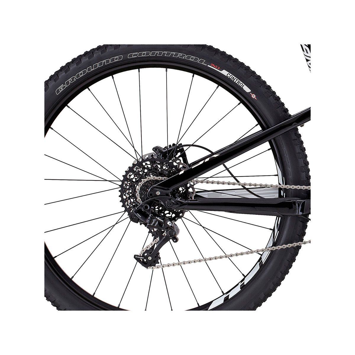 Specialized Camber FSR Comp Carbon 29, gloss carbon/dirty white/white - Bild 4