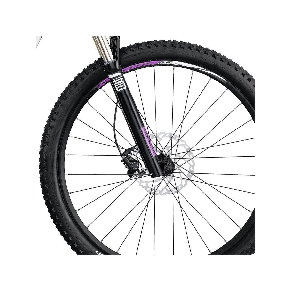 Scott E-Aspect Contessa 720 - Bild 2