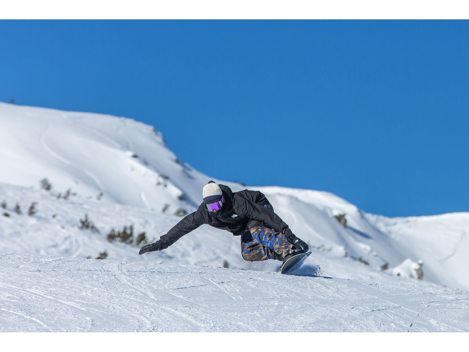 Bataleon Cruiser+ - Bild 10