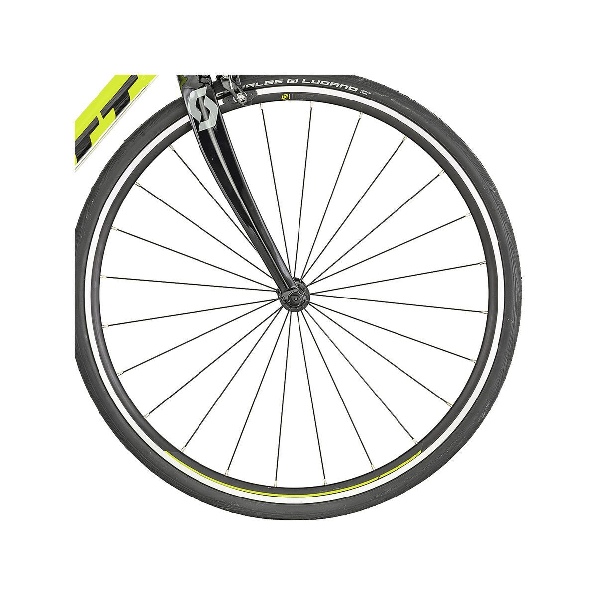 Scott Speedster 50 - Bild 3