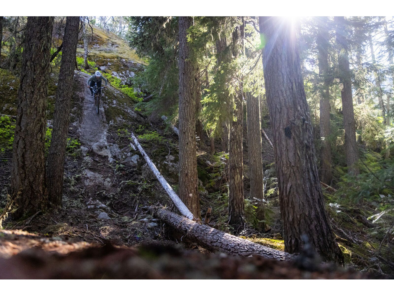 Santa Cruz Nomad C / 90 / MX, matte black - Bild 16