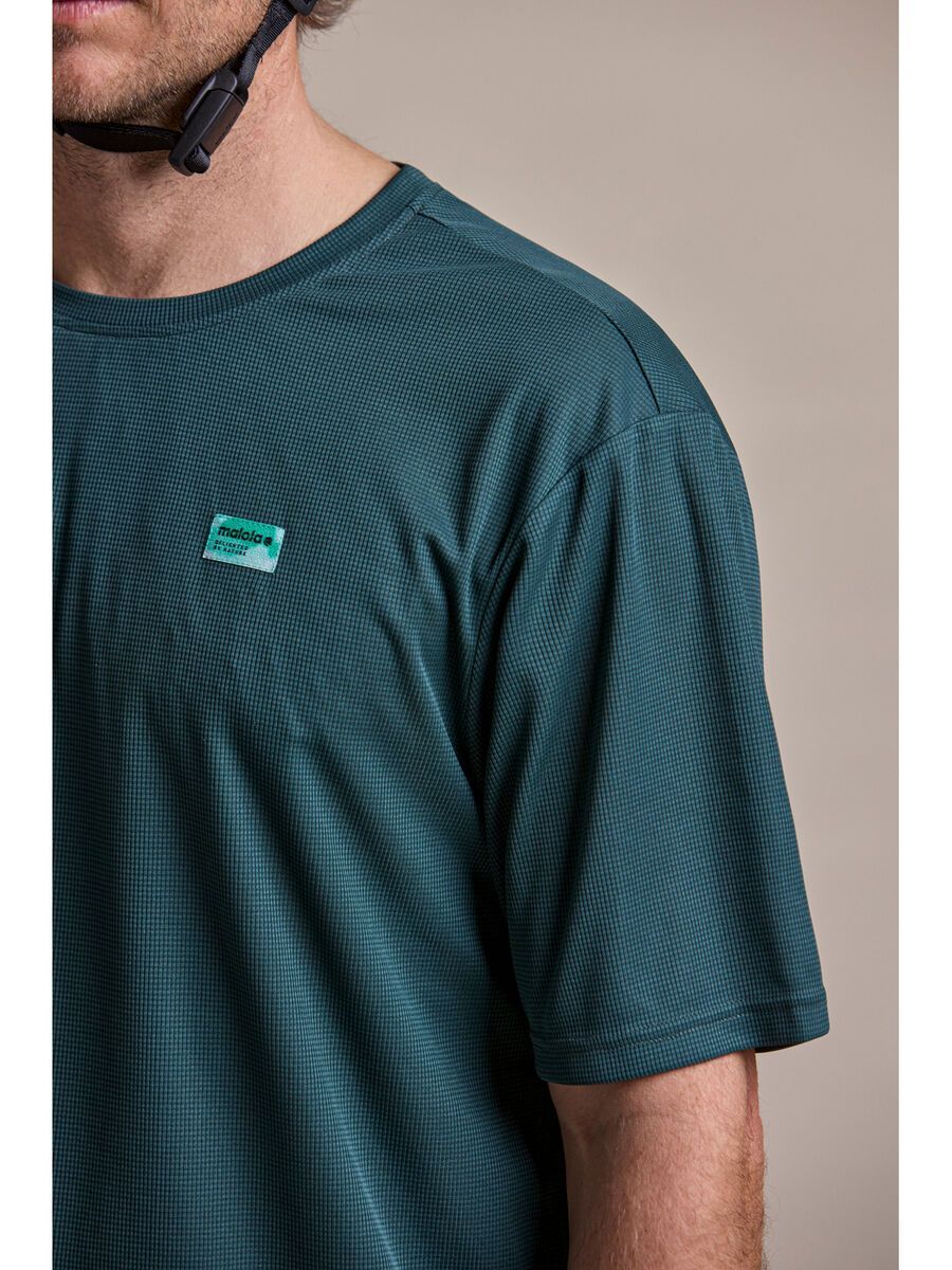 Maloja StaubachM., mountain pine - Bild 4