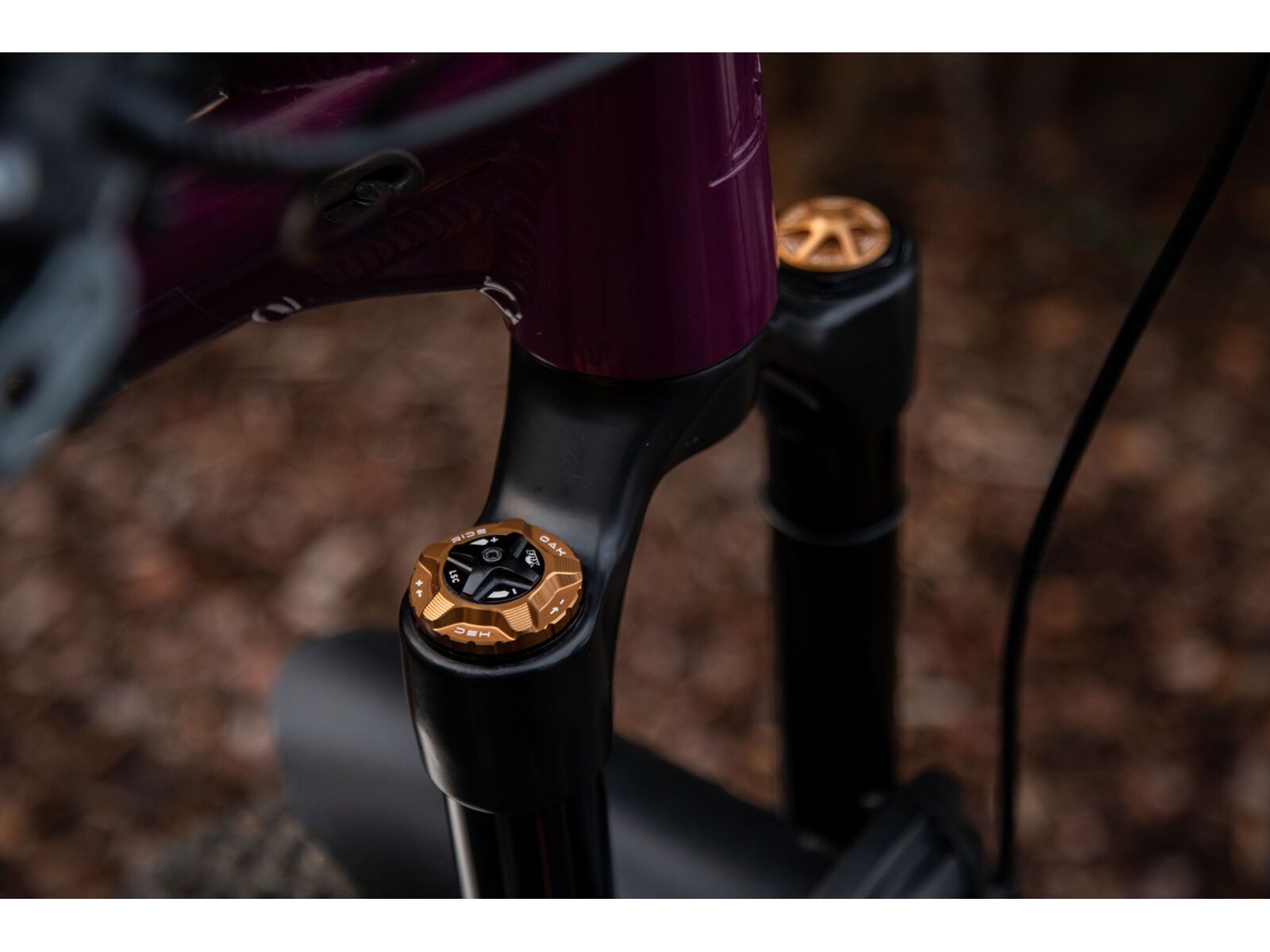 OAK Components Forkcap HSC für Fox 34, 36, 38, 40, kashgold - Bild 2