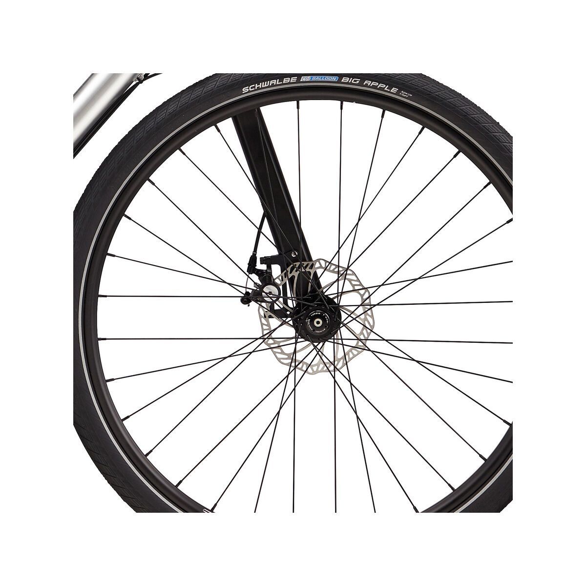 Cannondale Canvas 1, raw w/ nearly black and stealth gray - RAW - Bild 2