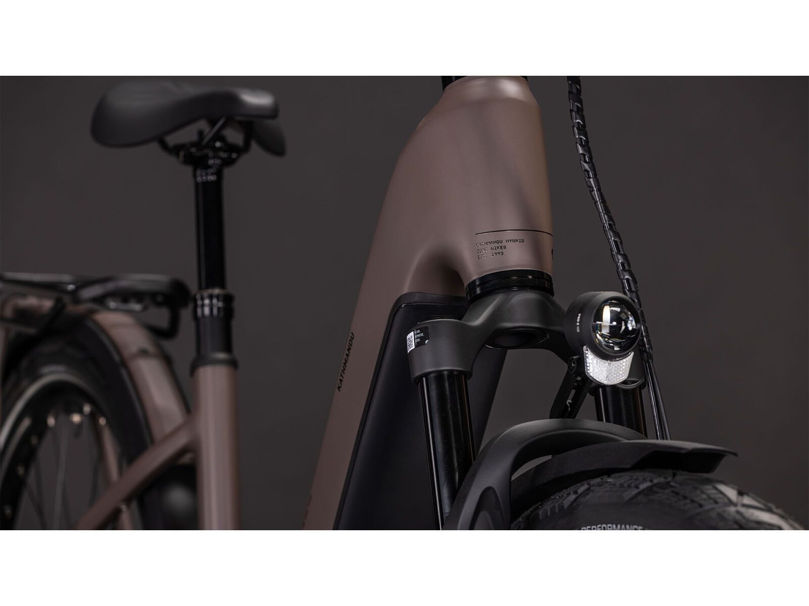 Cube Kathmandu Hybrid EXC 800 Easy Entry, cedar´n´chrome - Bild 7