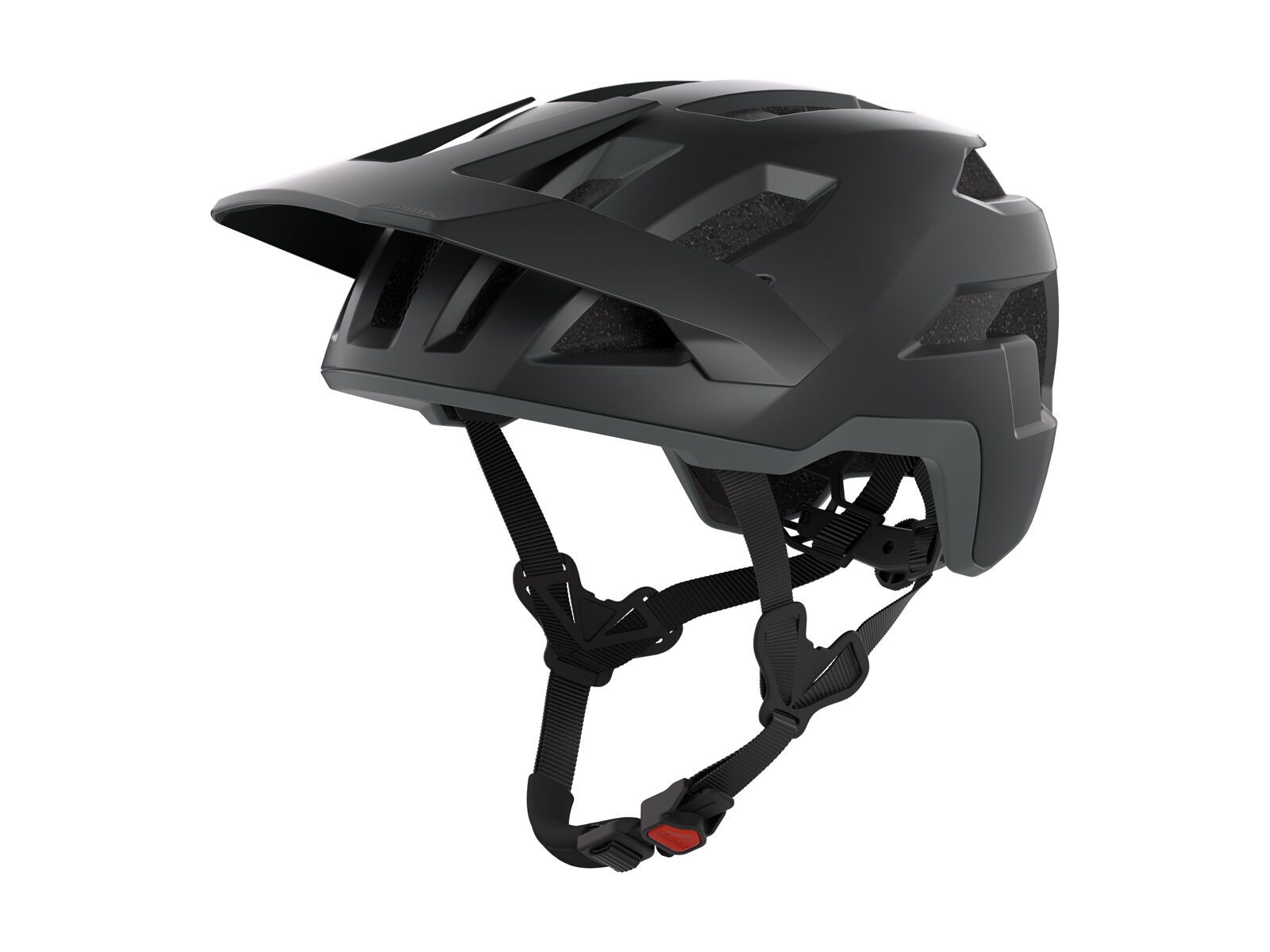 Alpina Taunus, black-grey matt - Bild 1