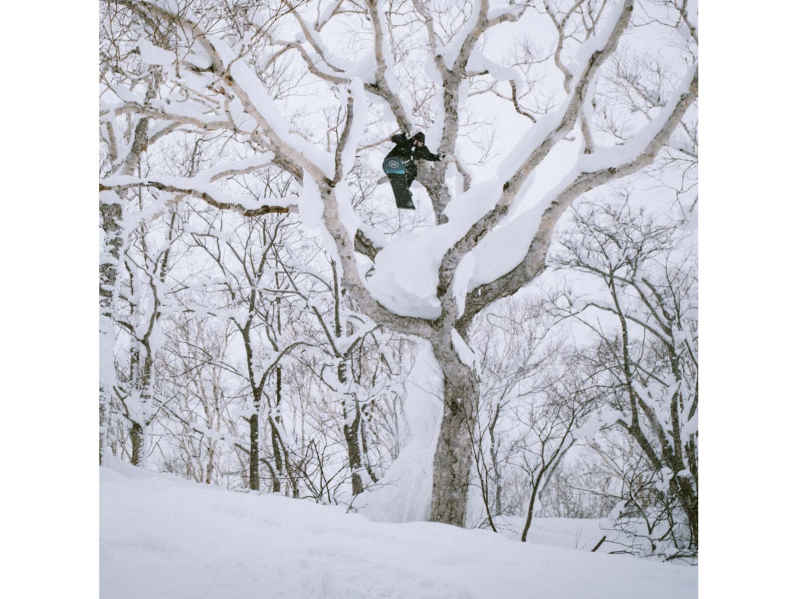 Nidecker Escape Plus Wide, multicolor - Bild 14