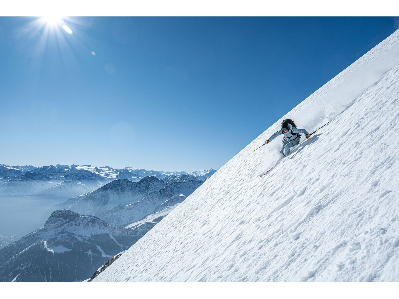 Black Crows Camox Freebird, red - Bild 6