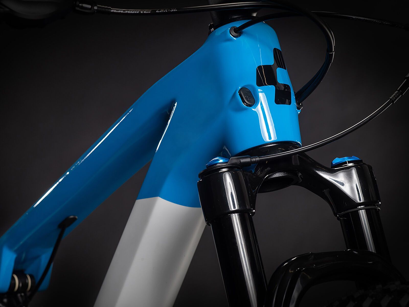 Cube AMS 100 C:68 SL 29, teamline - Bild 6