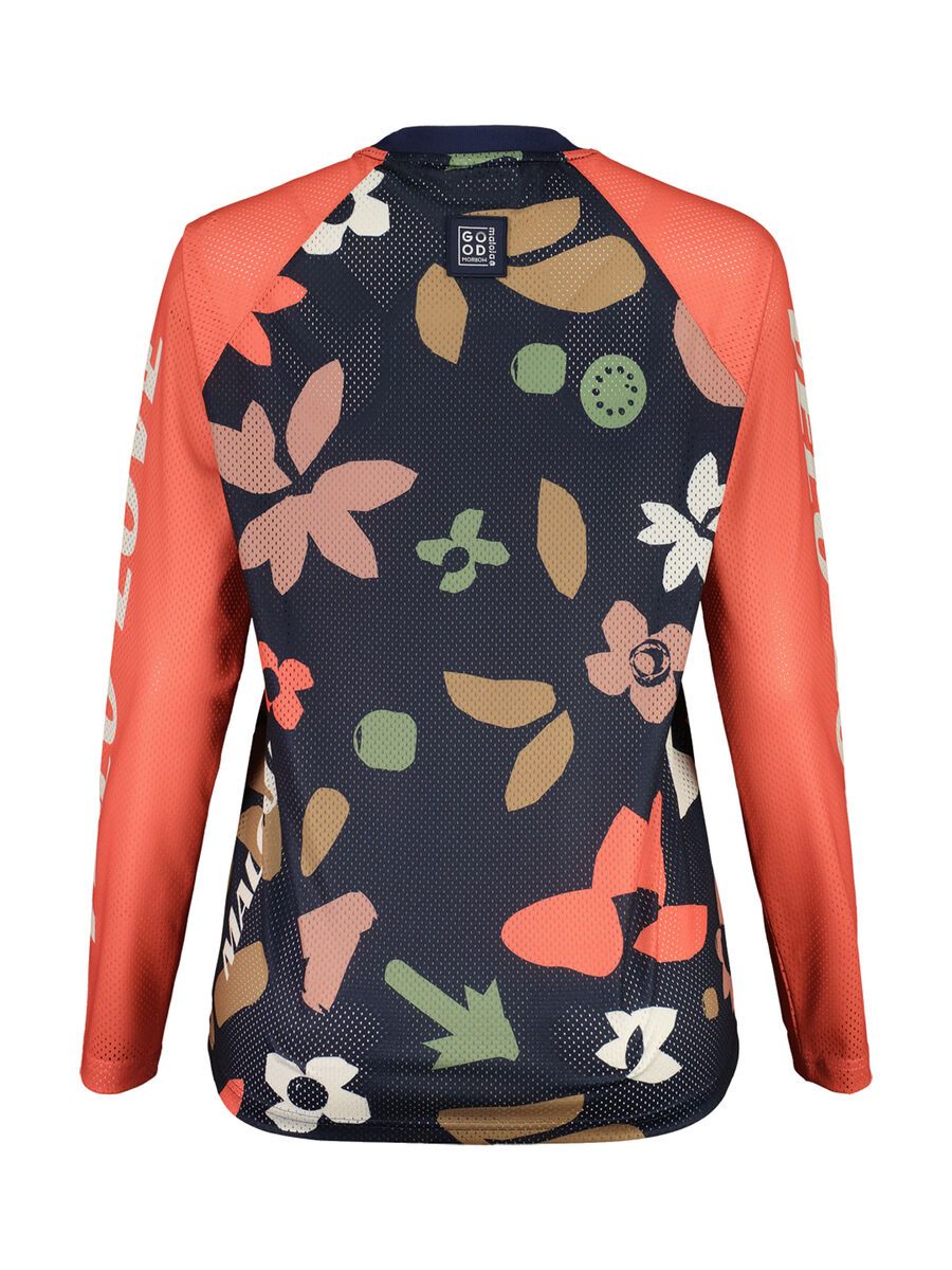 Maloja ElferkofelM., night sky sundry - Bild 2