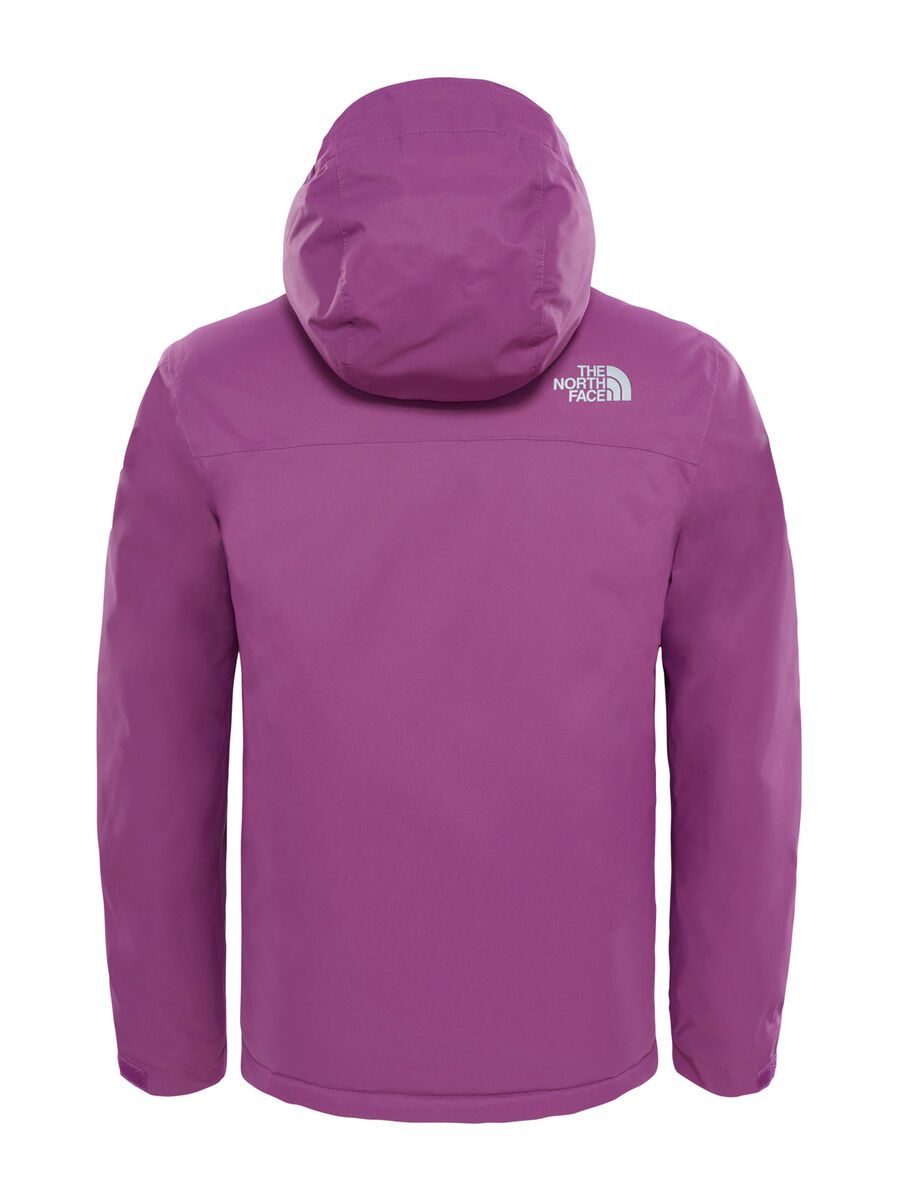 The North Face Youth Snow Quest Jacket, wood violet - Bild 2