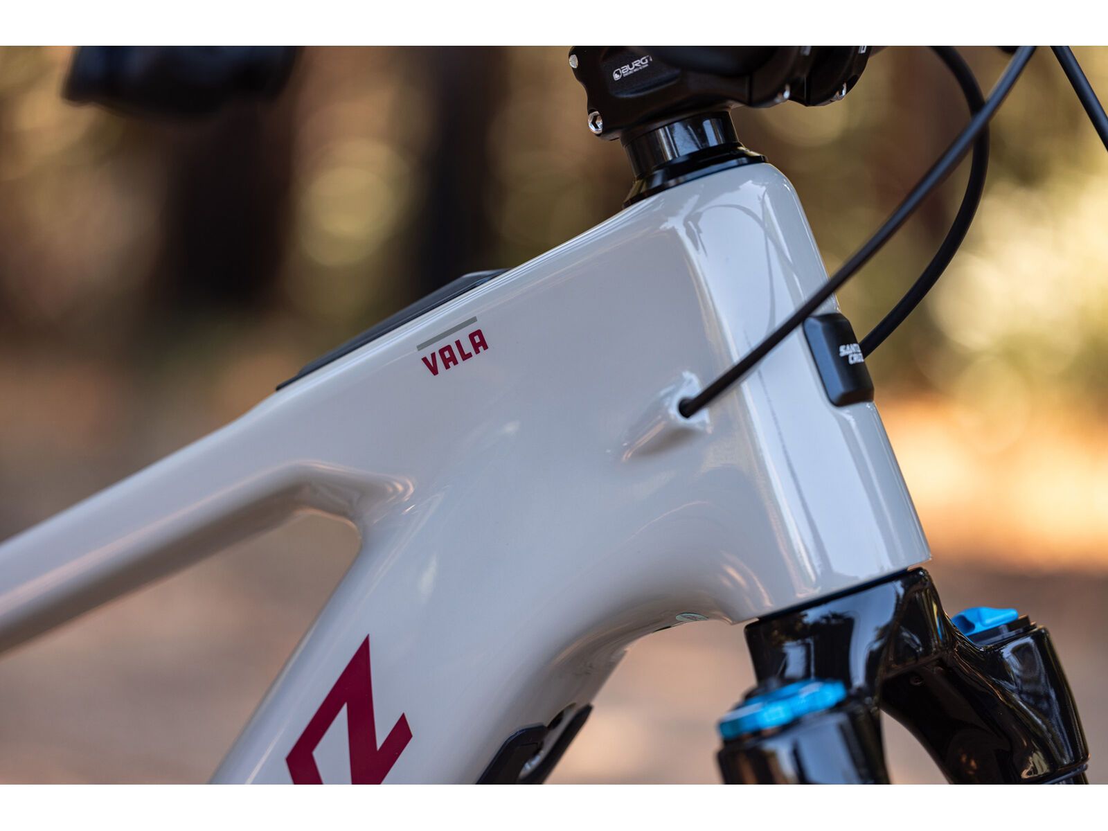 Santa Cruz Vala C / 90 / MX, gloss grey - Bild 6