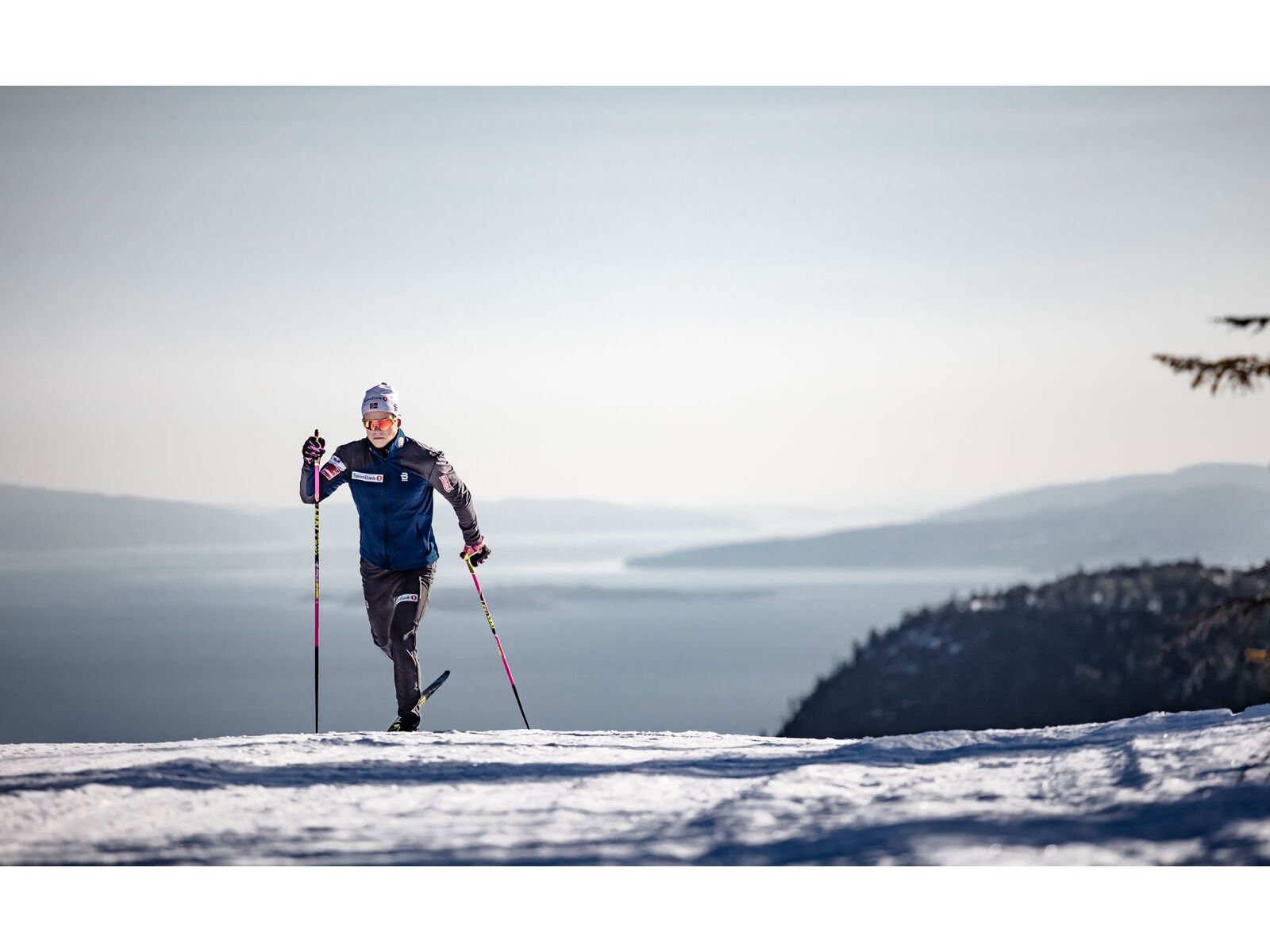 Hestra Infinium Momentum 5 Finger, black - Bild 7