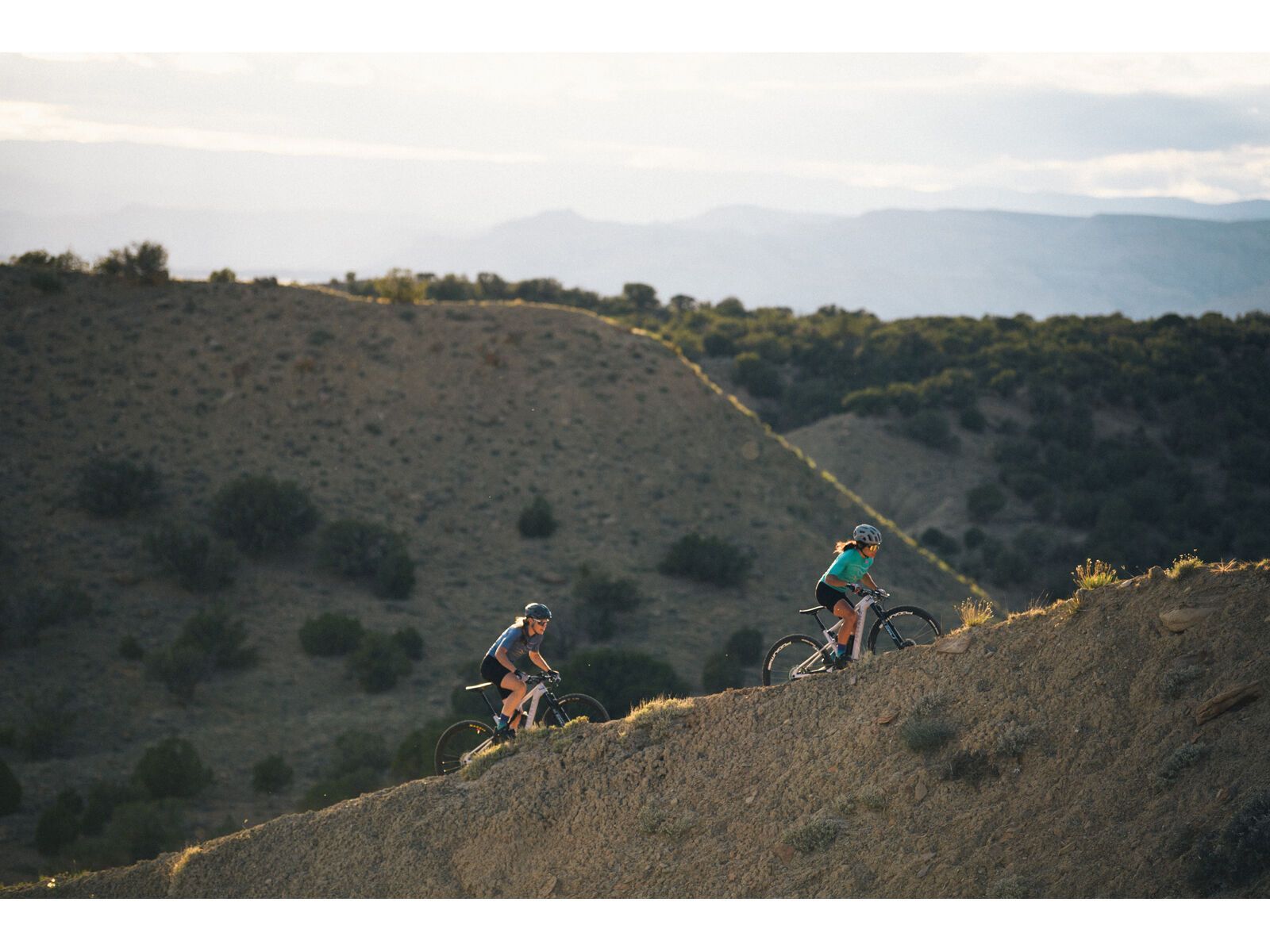 Juliana Wilder C / R / TR / 29, purple sweetness / lavender - Bild 18