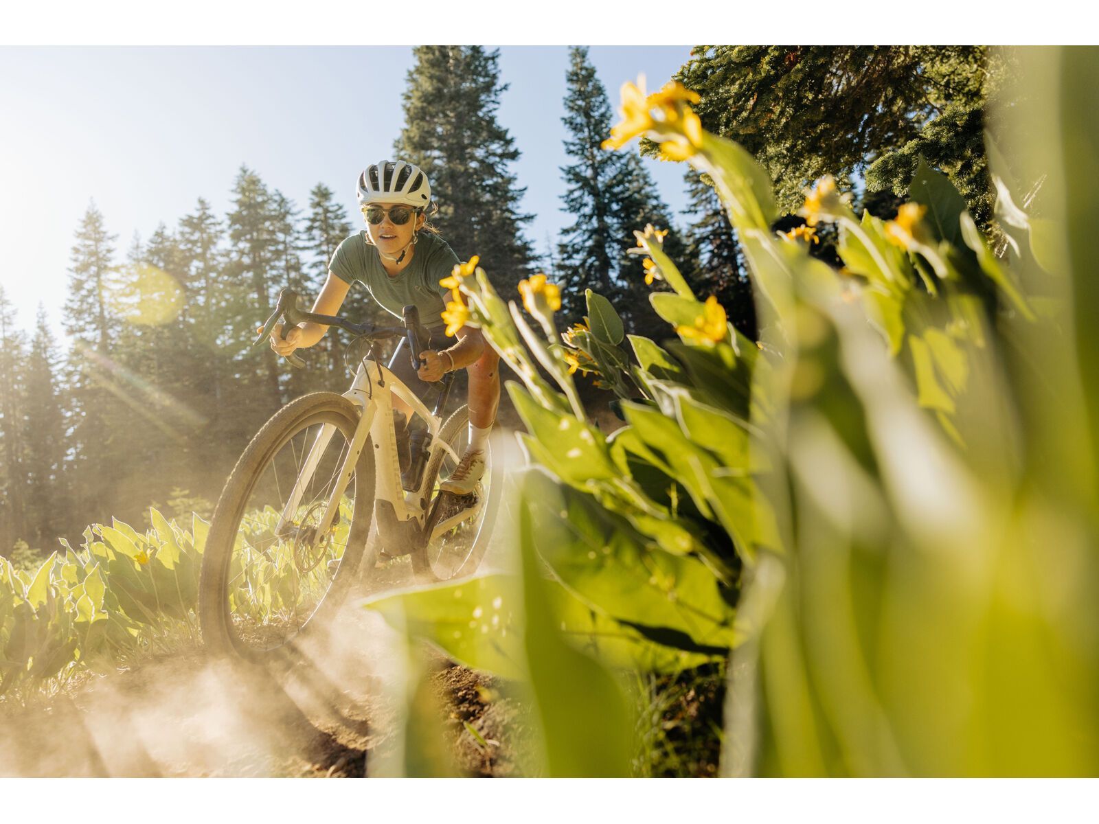 Specialized Turbo Creo 2 Expert Carbon, black pearl/birch/black pearl - Bild 22