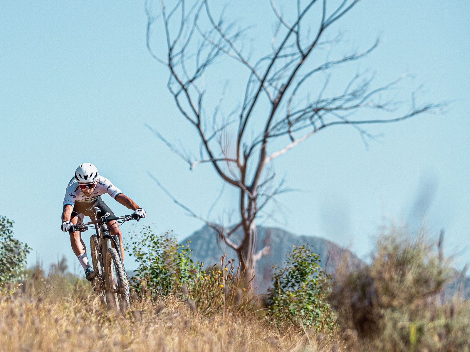 Cannondale Scalpel Carbon 2, slate gray - Bild 8