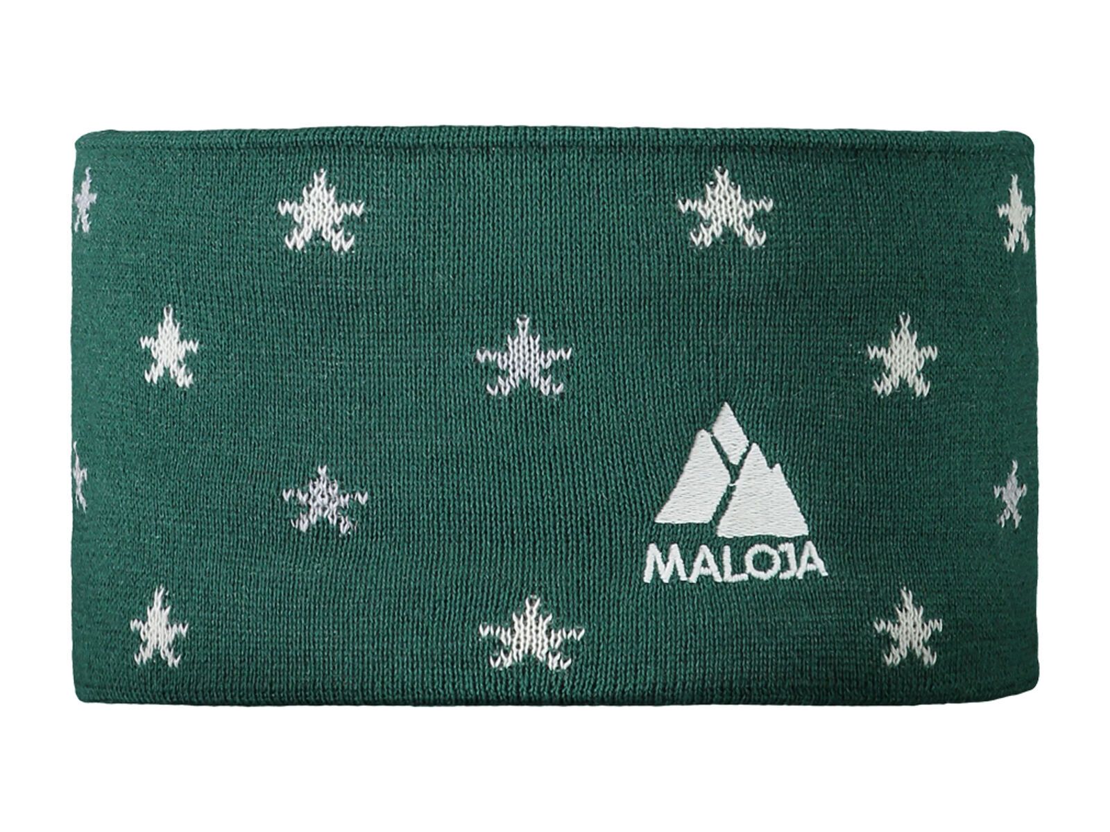 Maloja AllalinM., forest glade - Bild 1