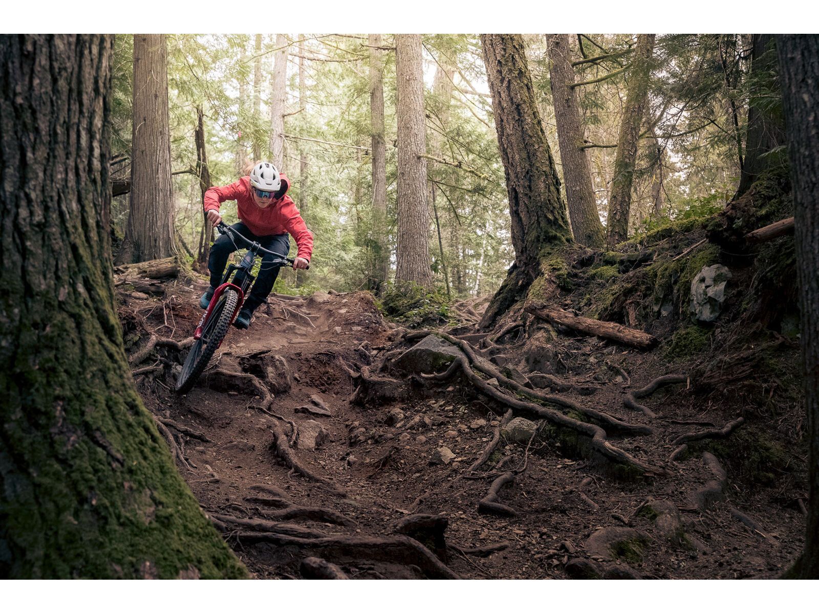 Juliana Roubion C / XT / MX, blue steel/purple - Bild 14