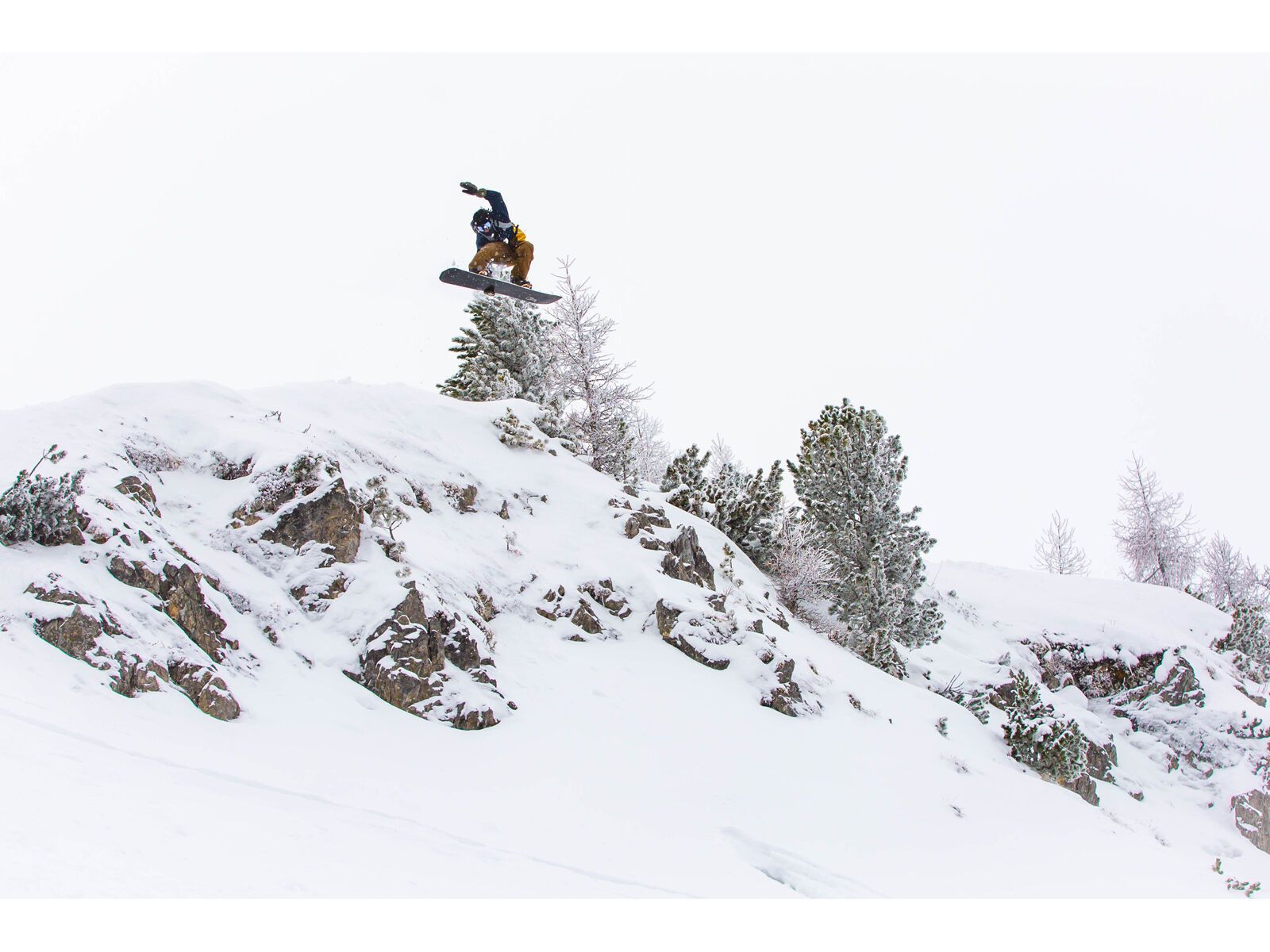 Bataleon Party Wave Twin - Bild 13