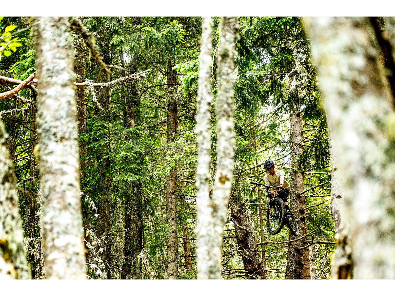 Santa Cruz Bronson CC / X0 AXS / MX, translucent root beer - Bild 19