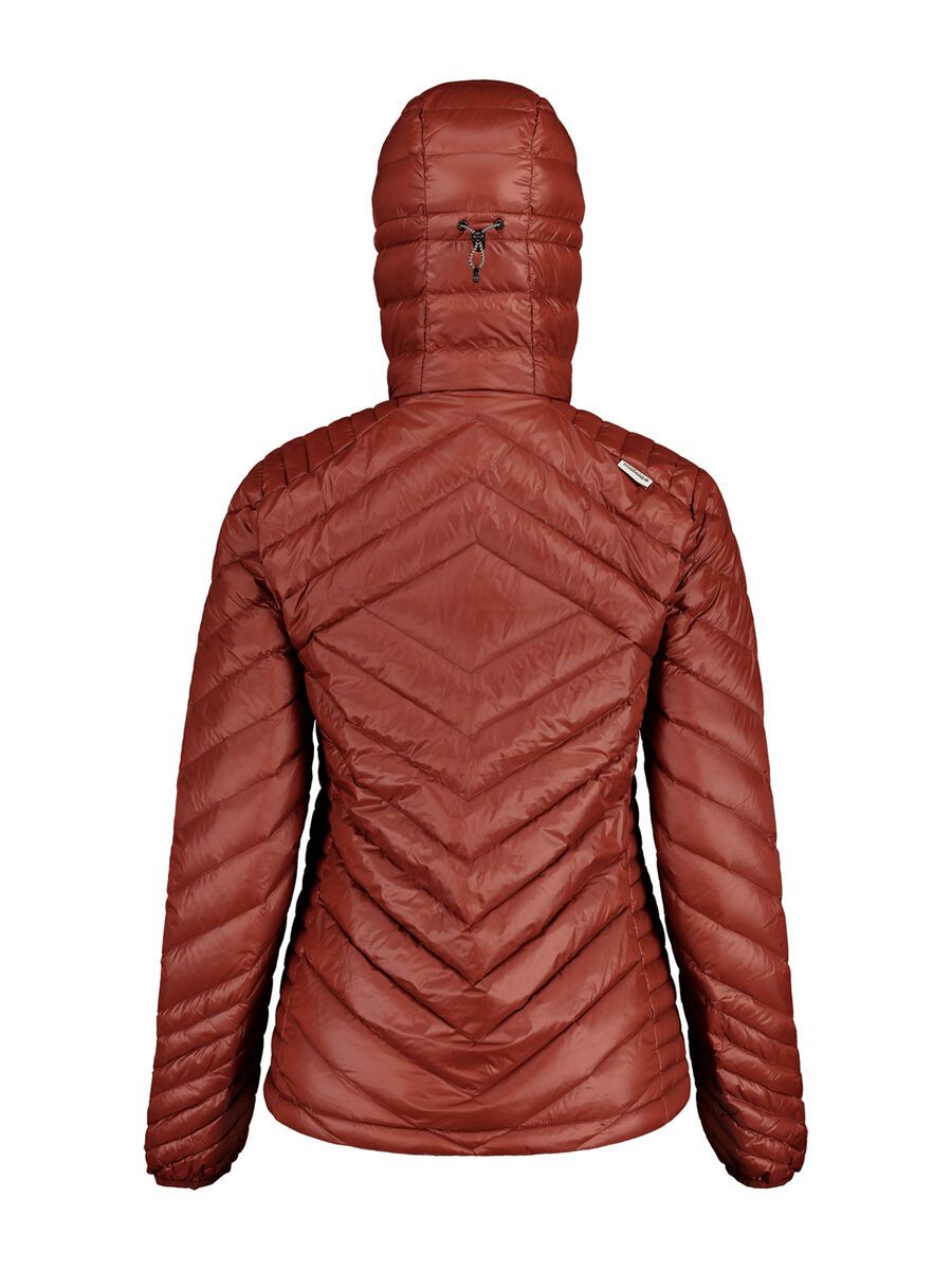 Maloja RehM., squirrel - Bild 2