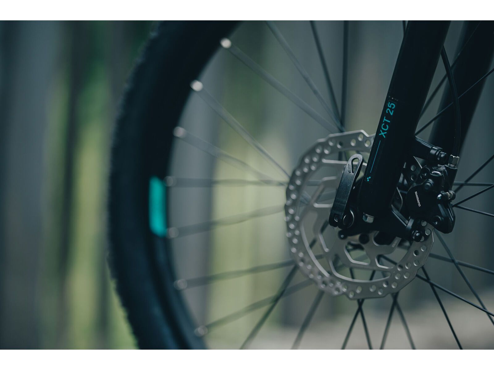 Cube Acid 240 Disc FE, lizard´n´blue - Bild 11