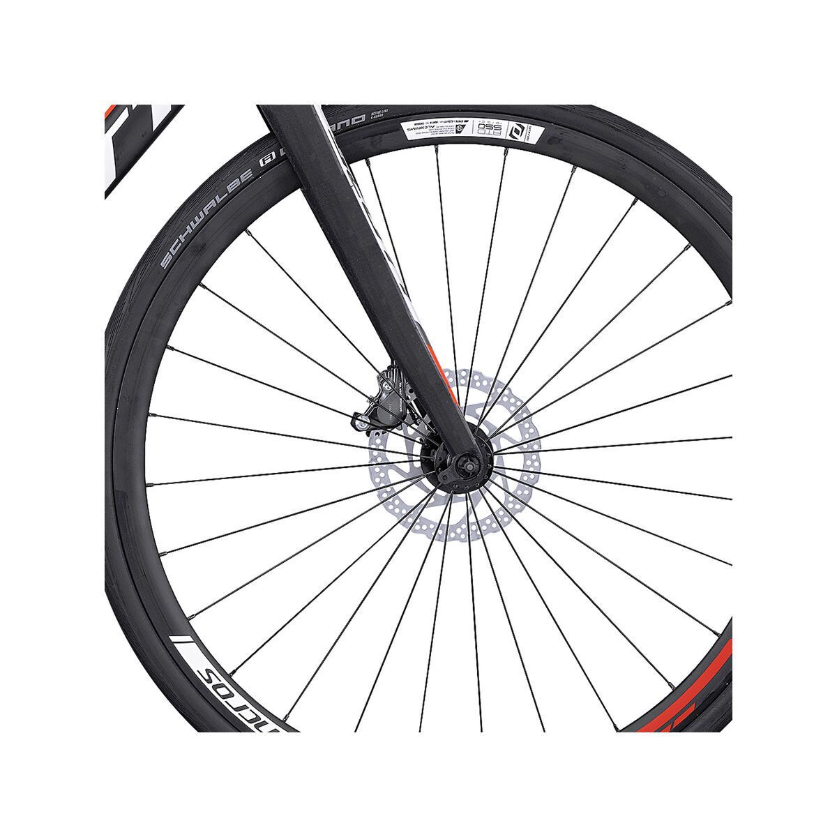 Scott Speedster 20 Disc, black/red/white | BIKER-BOARDER.DE