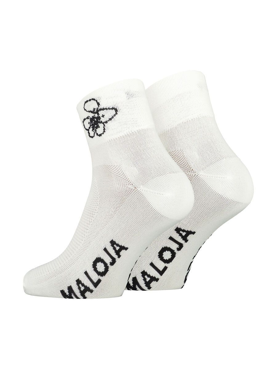 Maloja RosenkogelM., glacier milk - Bild 1