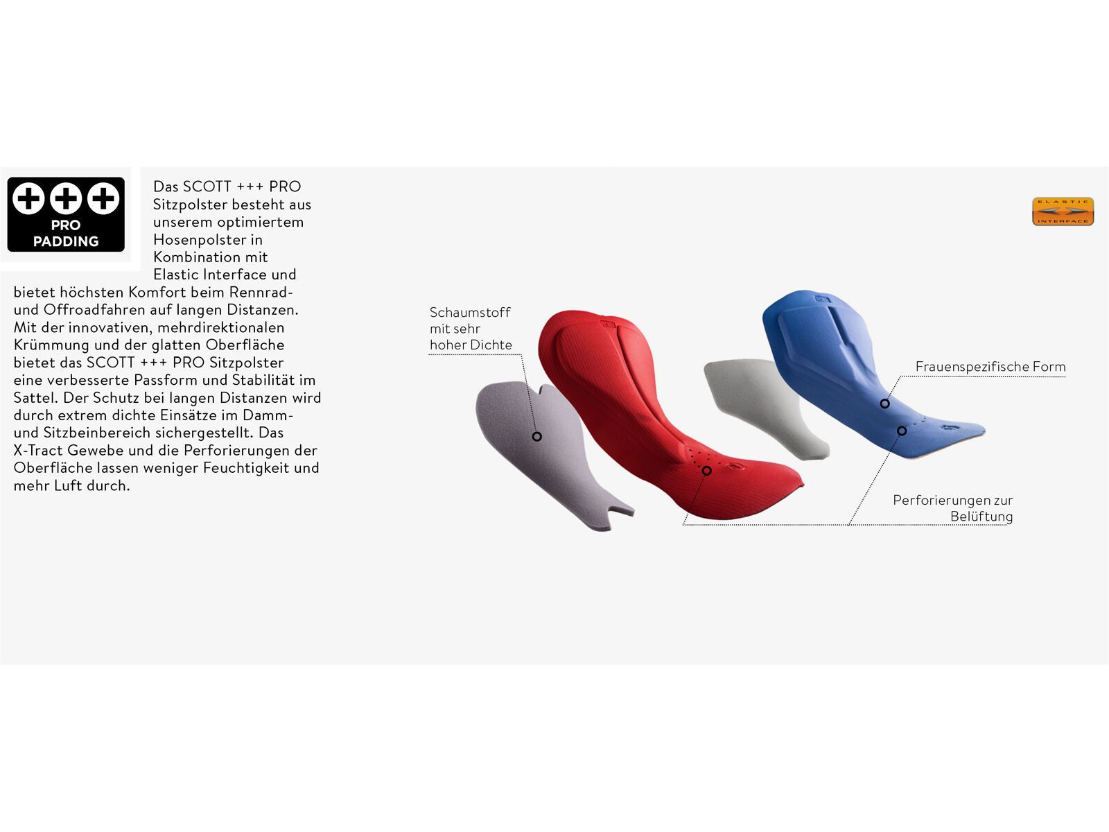 Scott Endurance +++ Women's Bib Shorts, black - Bild 3