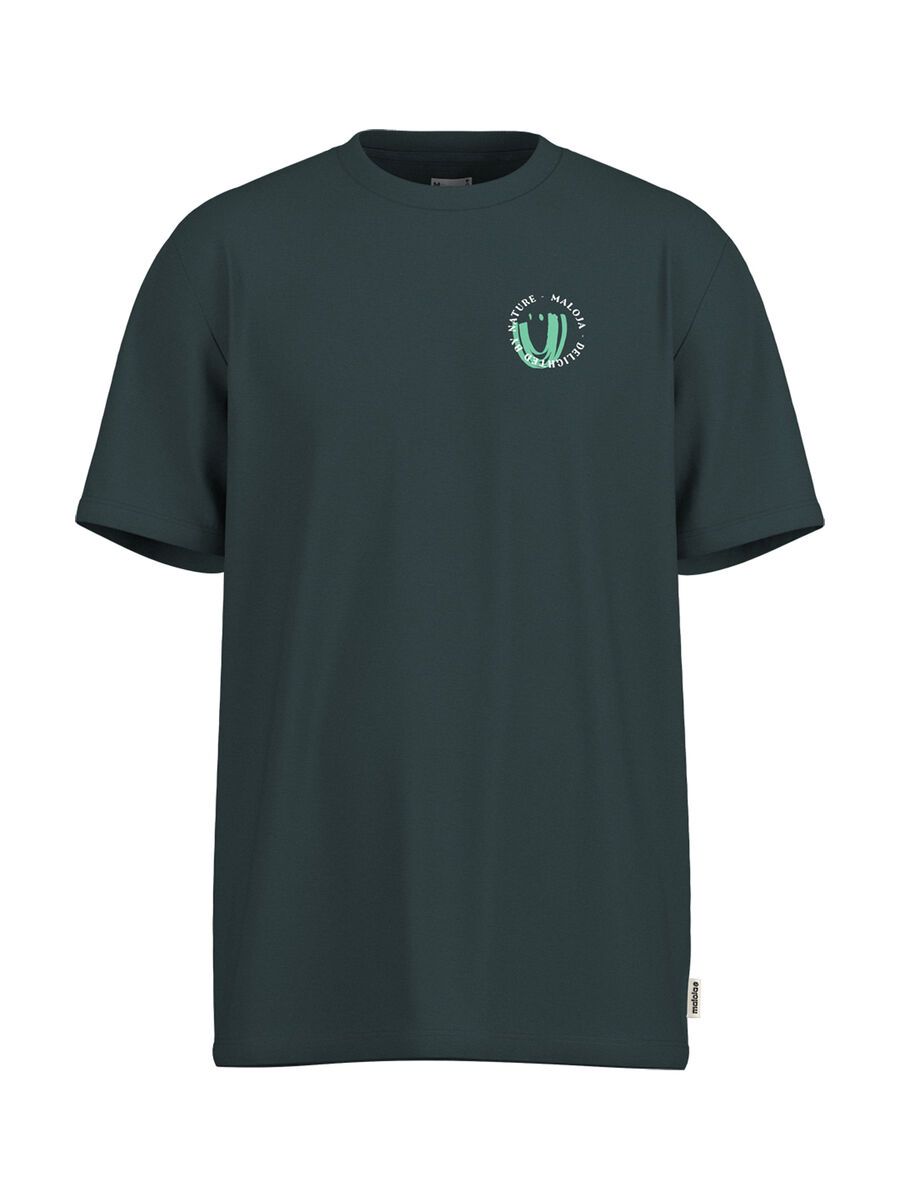 Maloja NalboM., mountain pine - Bild 1